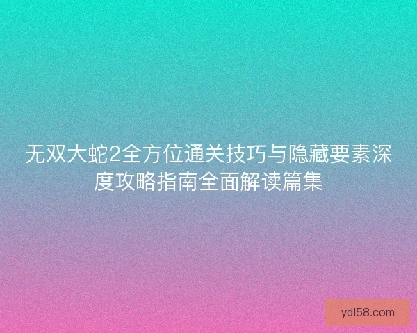 无双大蛇2全方位通关技巧与隐藏要素深度攻略指南全面解读篇集